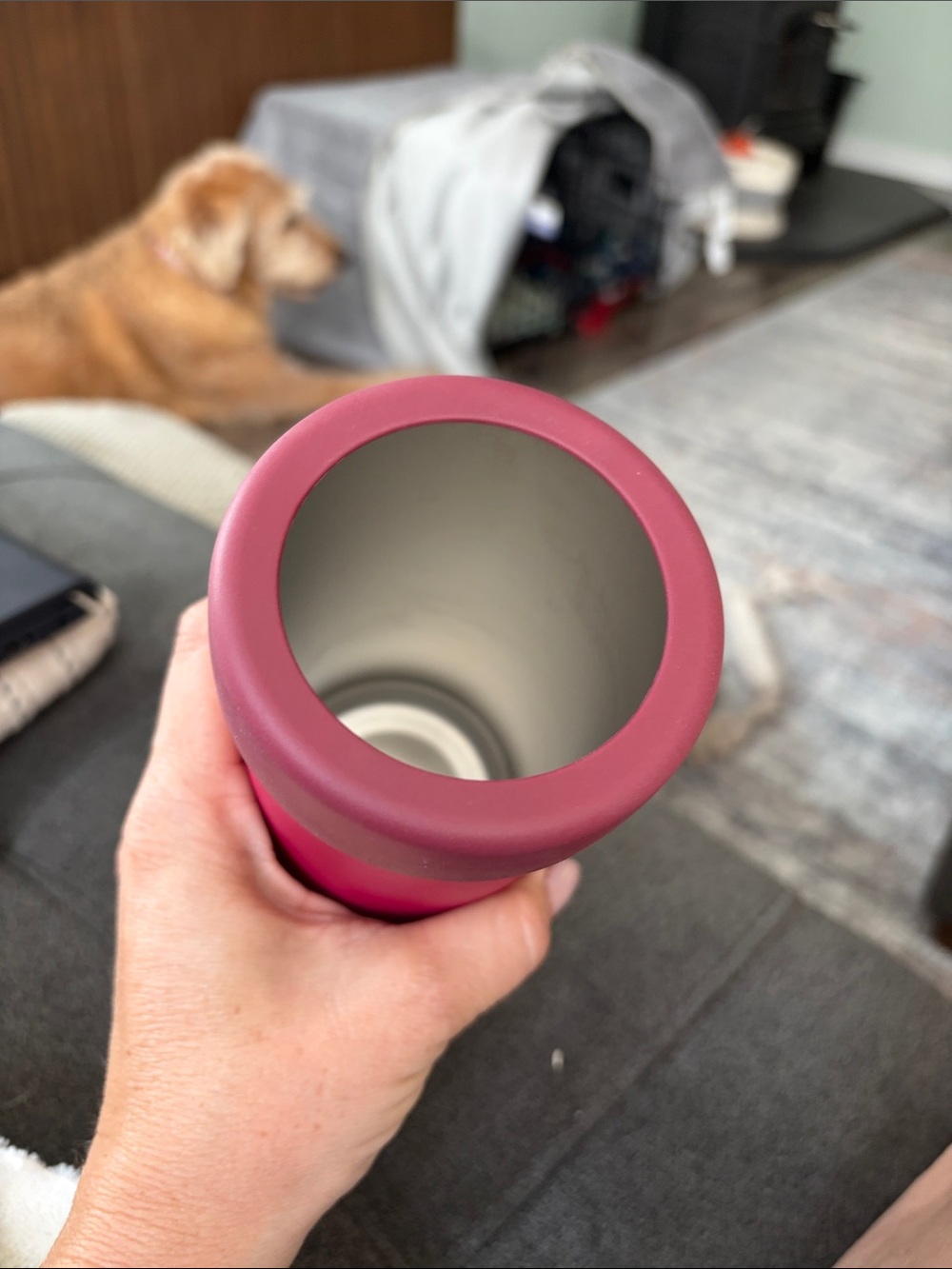 Hydro Flask Bright Raspberry Cooler Cup - Picture 5 of 5